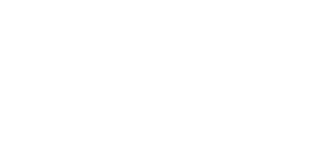 Tidelli